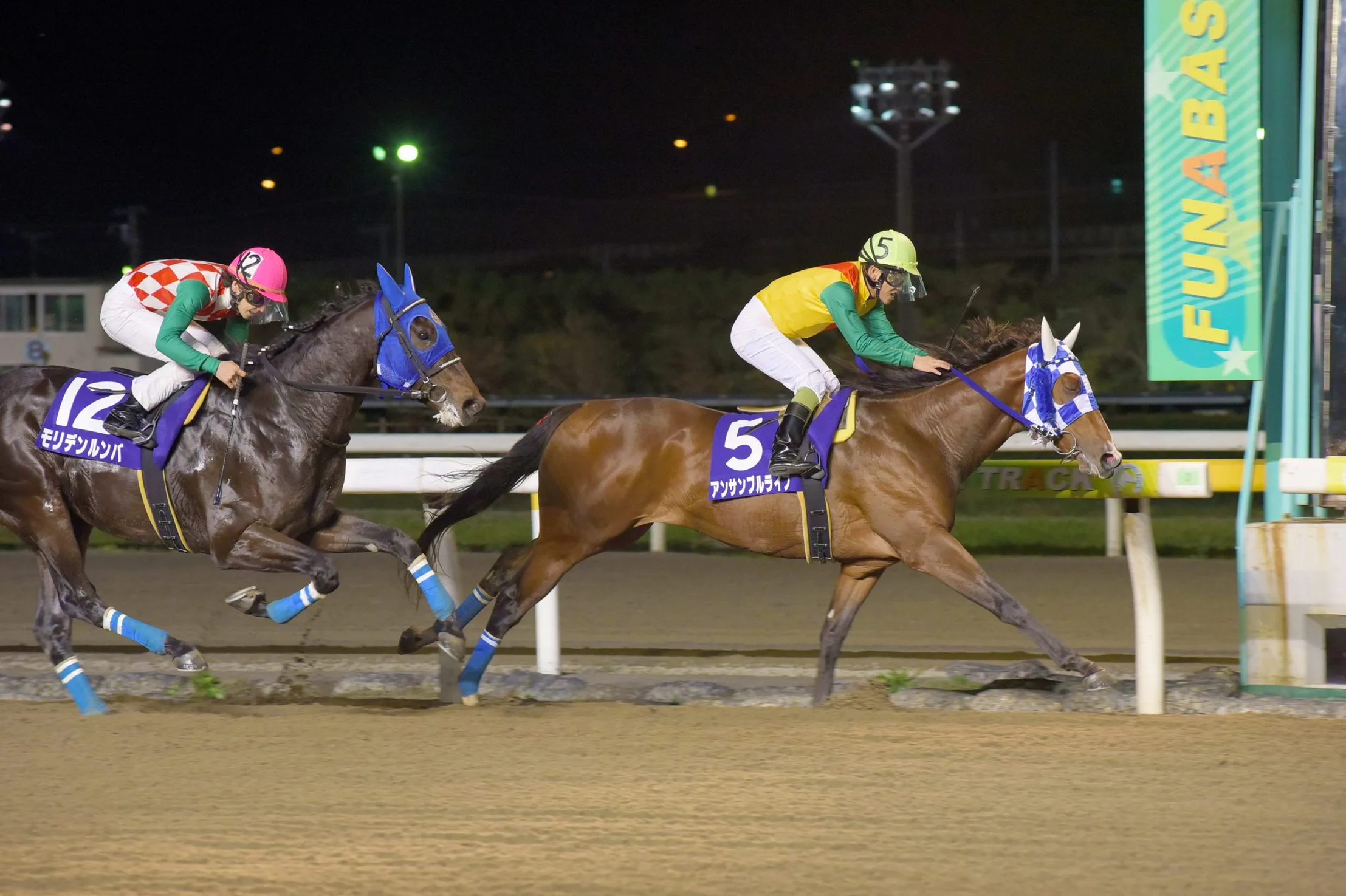 ナイター開催の船橋競馬場を駆ける競走馬