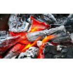 船橋ケイバ ハートビートBBQで提供している炭