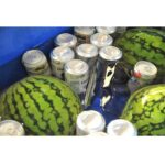 船橋ケイバ ハートビートBBQで手ぶらBBQ対応の大型どぶづけ